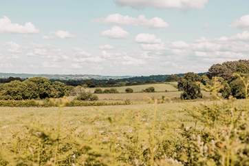 You will have just birdsong and the occasional bleat of a sheep for company here.