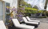 Soak up the Devonshire sunshine on the sunbeds. - Thumbnail Image