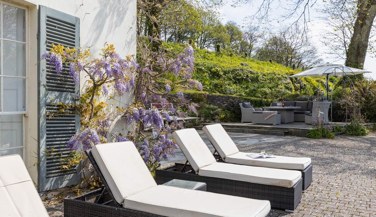 Soak up the Devonshire sunshine on the sunbeds.