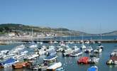 Lyme Regis has some great restaurants, cafes and independent shops as well as a safe, sandy beach with SUP and kayak hire in the summer. - Thumbnail Image