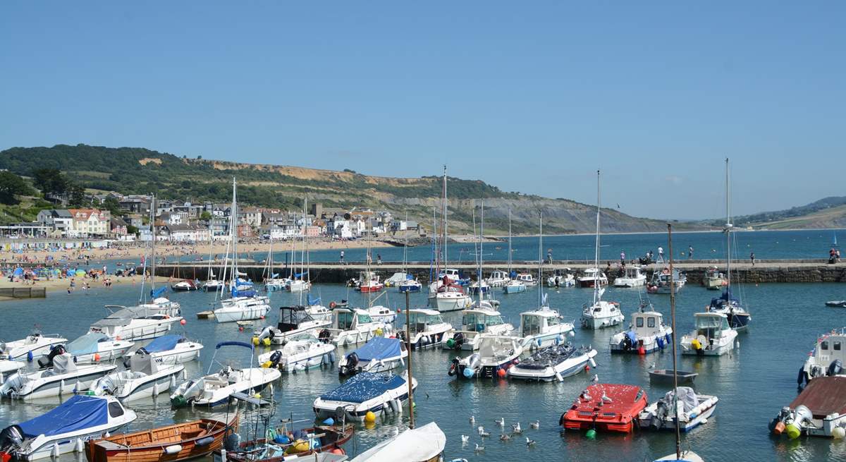 Lyme Regis has some great restaurants, cafes and independent shops as well as a safe, sandy beach with SUP and kayak hire in the summer.