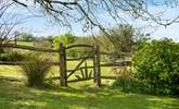 Step through the garden gate into the wild meadow garden and orchard - Thumbnail Image