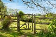 Step through the garden gate into the wild meadow garden and orchard