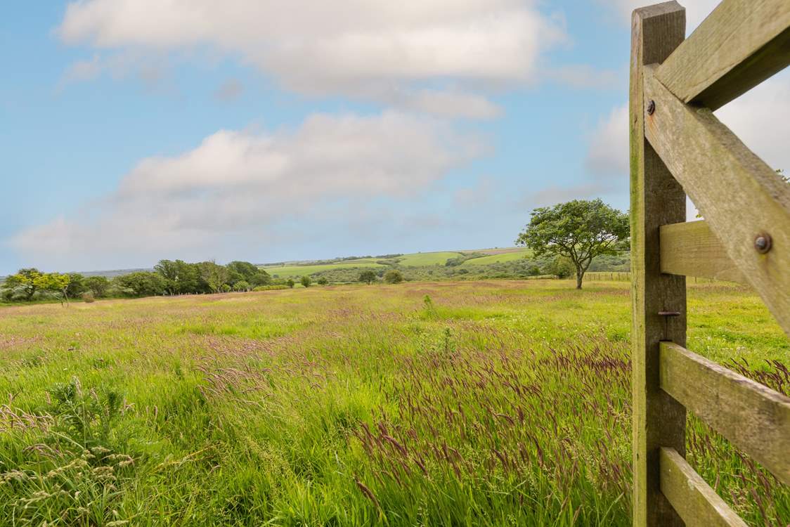 You are surrounded by beautiful countryside yet only a short journey away from the coast.