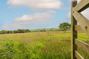 You are surrounded by beautiful countryside yet only a short journey away from the coast.