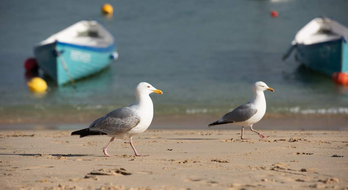 Everyone enjoys the beaches here!