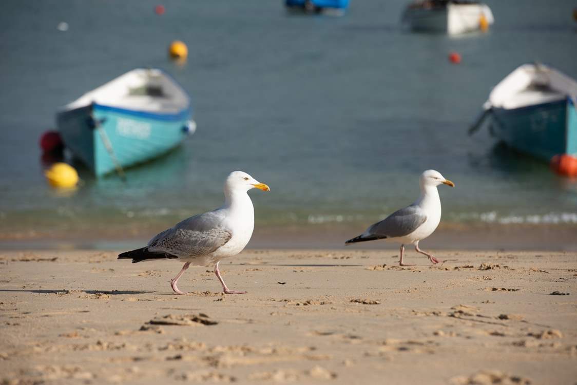 Everyone enjoys the beaches here!
