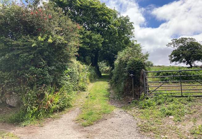At the final stage of your journey, you take this pretty country lane to reach Teg. 