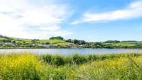 Slapton Ley Nature Reserve is adjacent to the beach - a fantastic spot for nature lovers!
