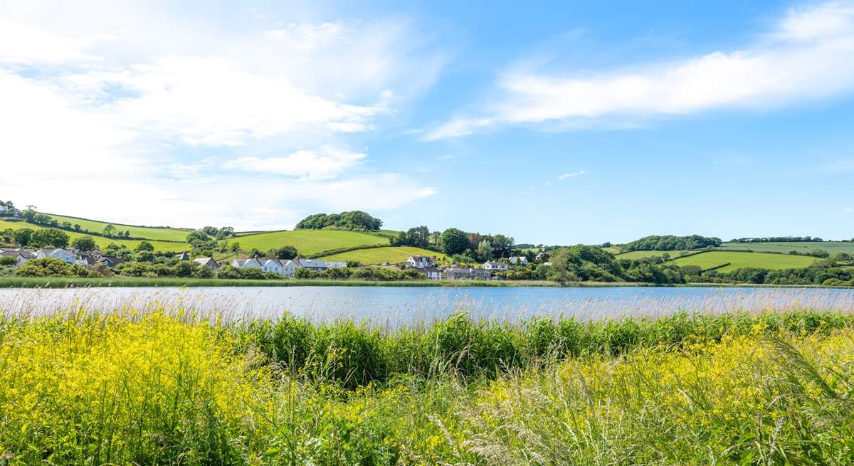 Slapton Ley Nature Reserve is adjacent to the beach - a fantastic spot for nature lovers!