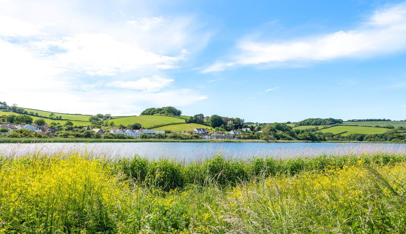 Slapton Ley Nature Reserve is adjacent to the beach - a fantastic spot for nature lovers!