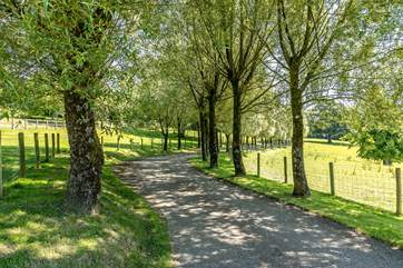 The pretty tree-lined drive gives a hint of what's to come at your rural idyll.