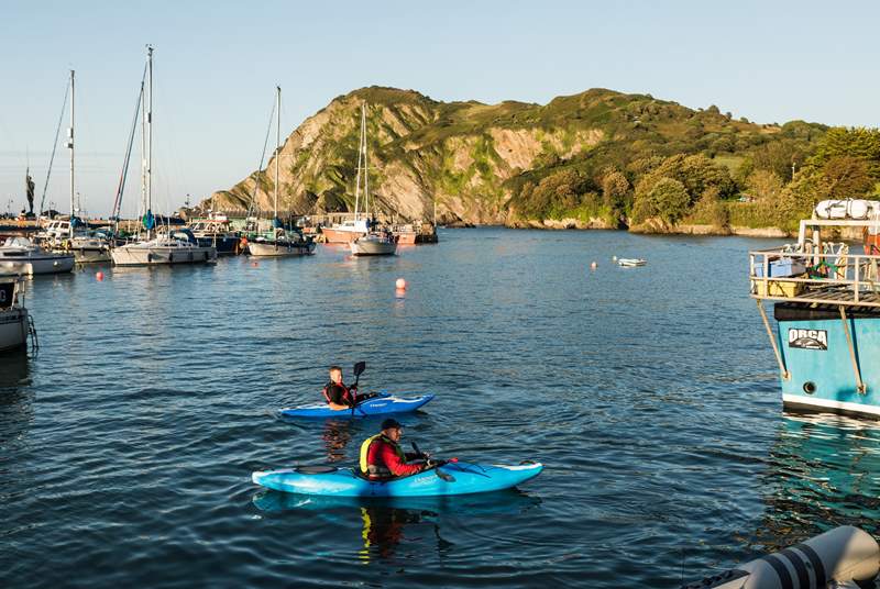 Ilfracombe is a vibrant seaside town and the harbour is ideal for paddle boarders and kayakers.