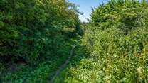 You and your four-legged friends will enjoy lovely walks with a footpath right next door to the barn.