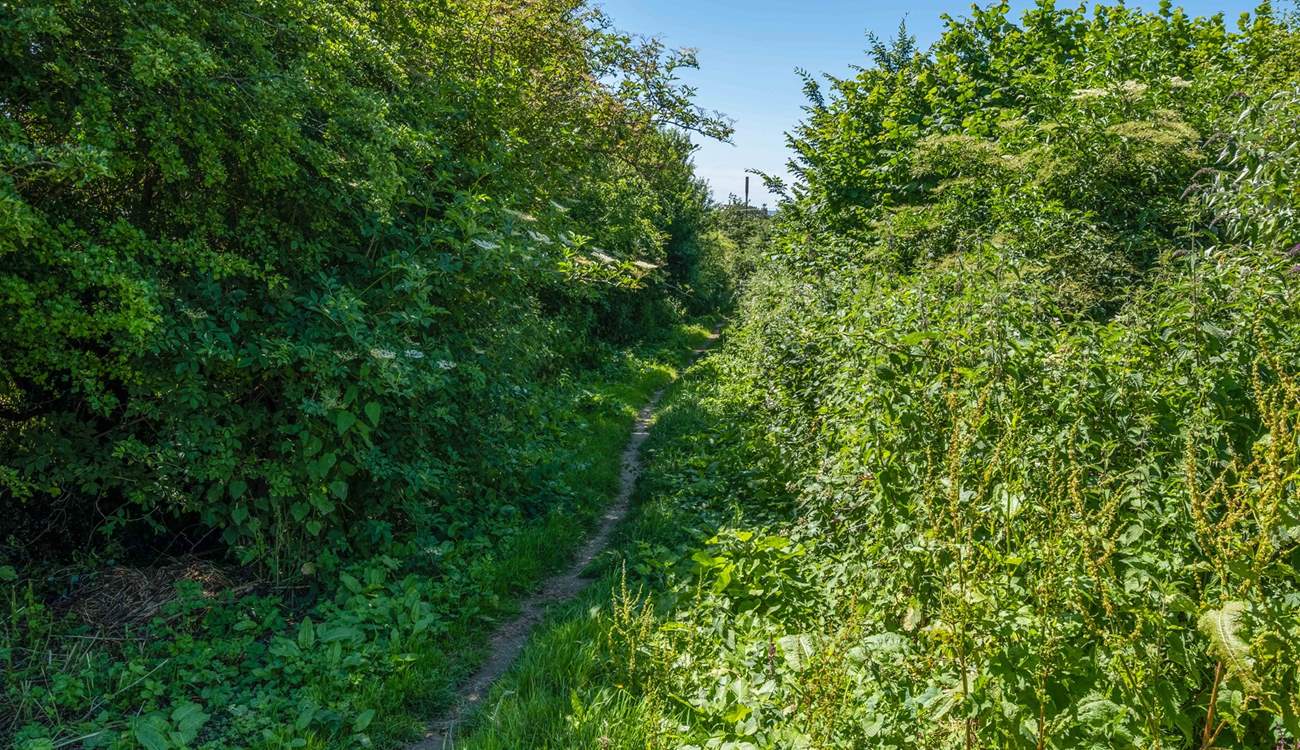 You and your four-legged friends will enjoy lovely walks with a footpath right next door to the barn.
