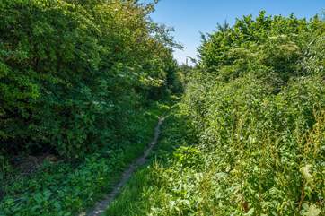 You and your four-legged friends will enjoy lovely walks with a footpath right next door to the barn.