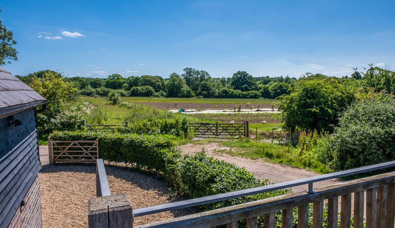 Countryside views and farmland.