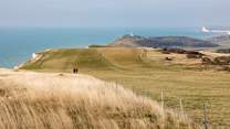 Take long walks on the South Downs.