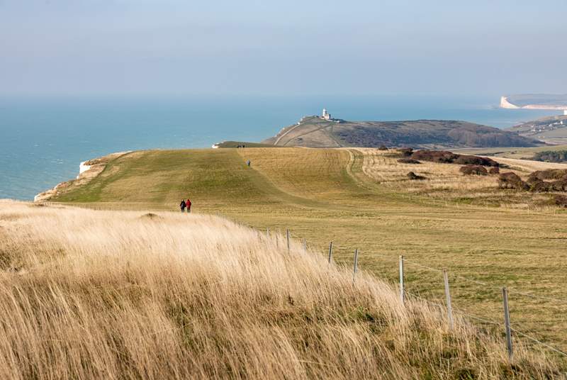 Take long walks on the South Downs.