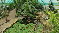 Butterfly Gardens at Middleton Common Farm in Ditchling.