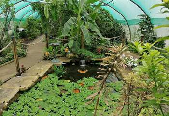 Butterfly Gardens at Middleton Common Farm in Ditchling.
