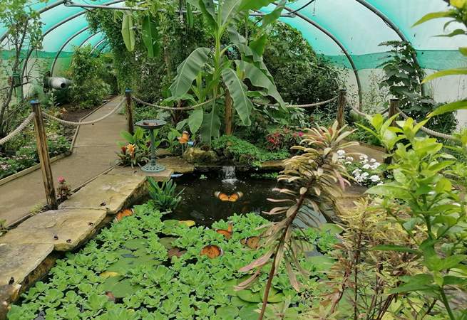 Butterfly Gardens at Middleton Common Farm in Ditchling.