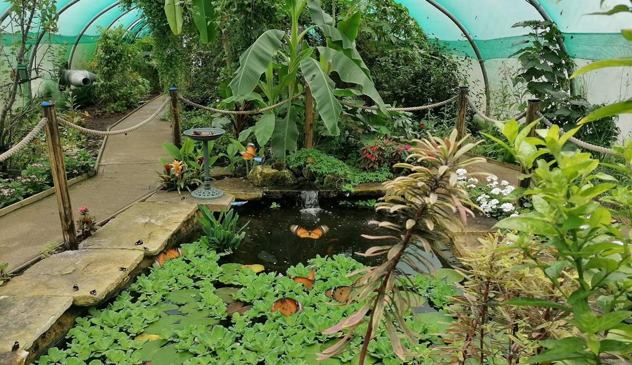 Butterfly Gardens at Middleton Common Farm in Ditchling.