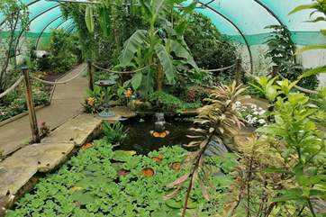 Butterfly Gardens at Middleton Common Farm in Ditchling.