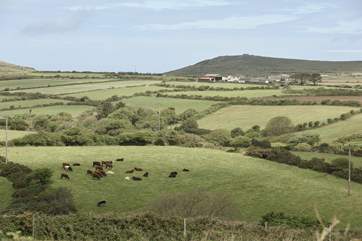 Rural bliss.
