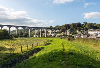 The gorgeous Tamar Valley Area of Outstanding Natural Beauty.