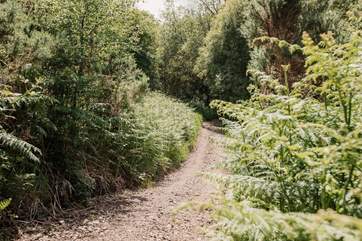 Explore the surrounding woodland and connect with nature.