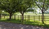 Stunning countryside view from the courtyard.  - Thumbnail Image