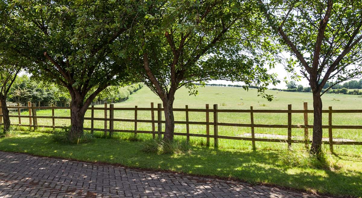 Stunning countryside view from the courtyard. 