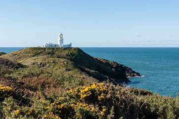 The views from Strumble Head are stunning.