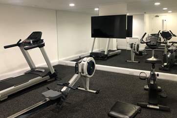 The shared fitness suite.