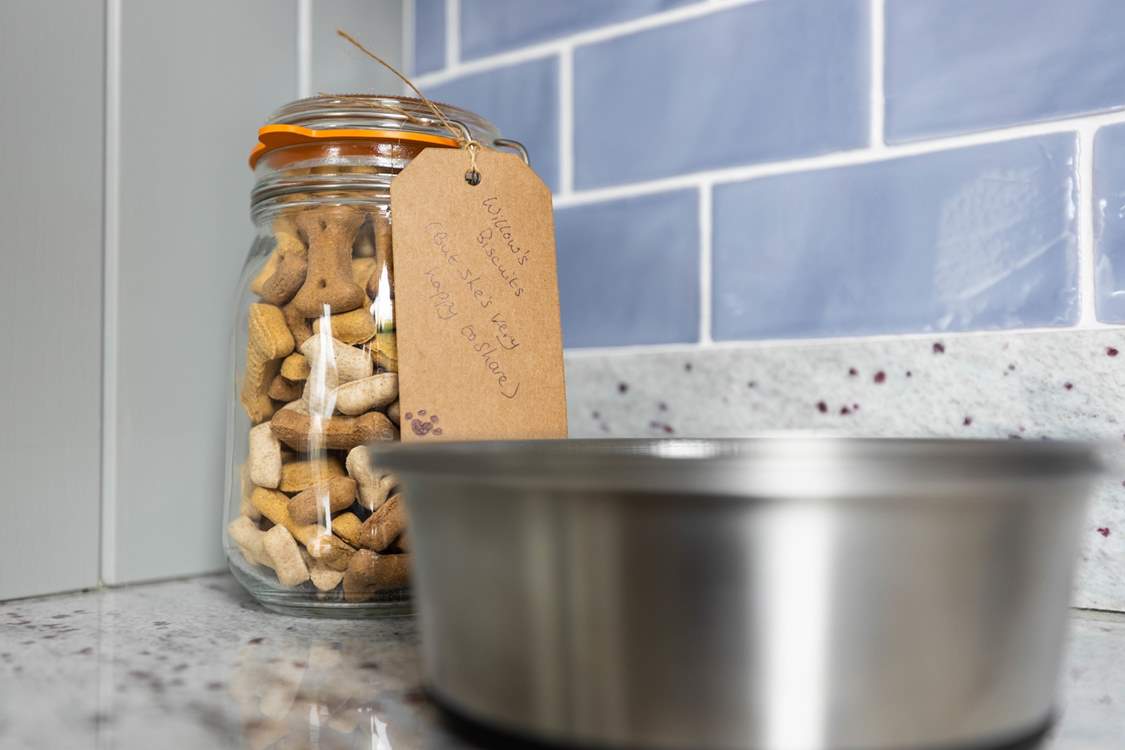 The owners' dog has very kindly offered to share her biscuits with your four-legged friend.