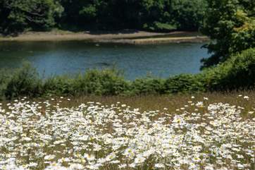 The wildflowers in front of the igloo are truly gorgeous in the summer.