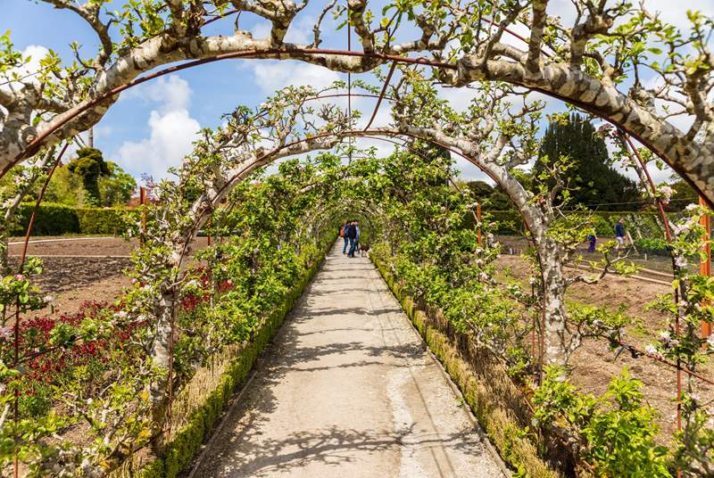 Travel further afield to the delightful Lost Gardens of Heligan.