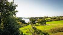 Looking down the valley towards the river Dart, what a dreamy view.