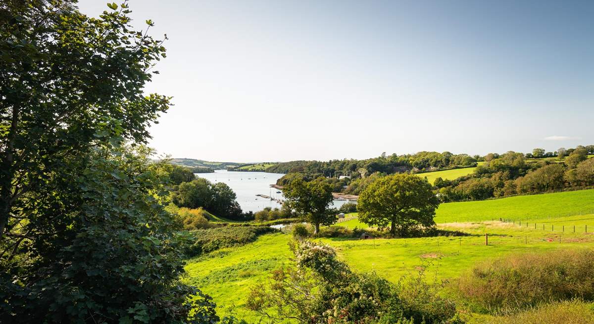 Looking down the valley towards the river Dart, what a dreamy view.