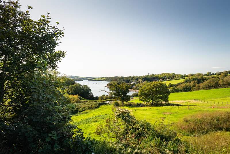 Looking down the valley towards the river Dart, what a dreamy view.