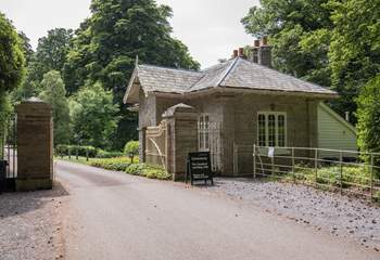 Perhaps a day enjoying Agatha Christies Greenway House is just the ticket. A relaxing stroll through the gardens with a cream tea to top the day off sounds perfect!
It would be a shame not to, as this is one of the many attractions right on your doorstep.
