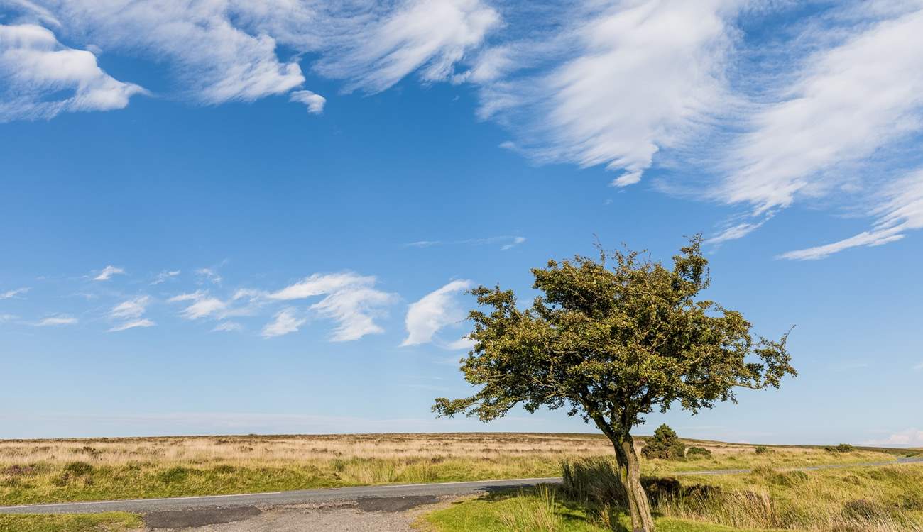 Close to South Molton, known as the gateway to Exmoor. 