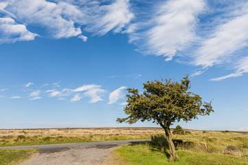 Close to South Molton, known as the gateway to Exmoor.