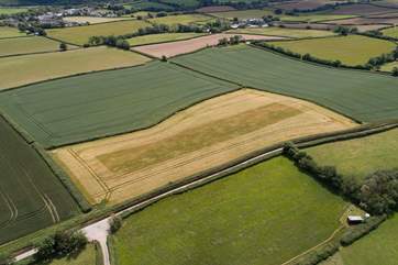Can you spot Polly? And in the distance, you can see Chittlehampton Village. Only a short stroll away.