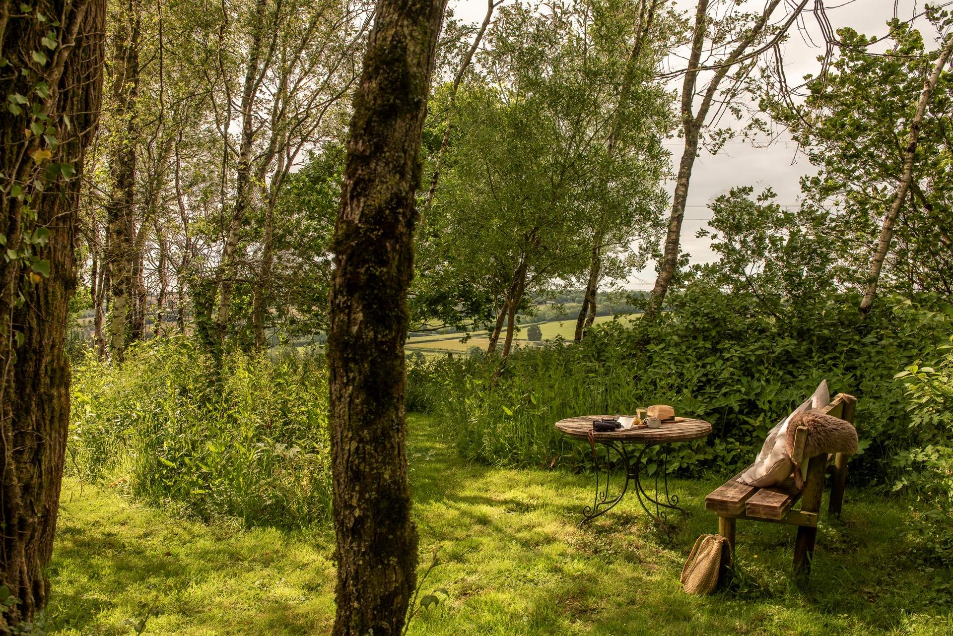 Just through the gate is a secluded woodland for you to enjoy. 