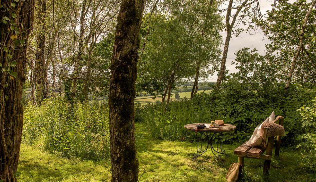 Just through the gate is a secluded woodland for you to enjoy. 