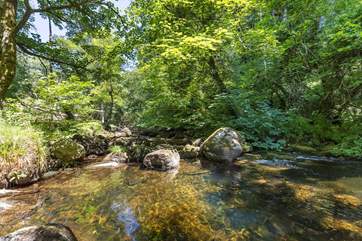 There's a small river a short walk away perfect for wild swimming.
