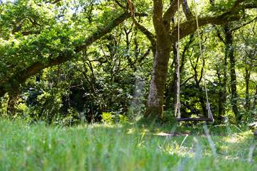 Take a moment on the idyllic swing.
