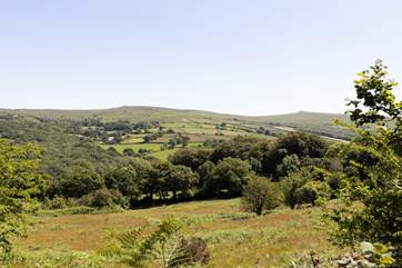 How about that for a view!